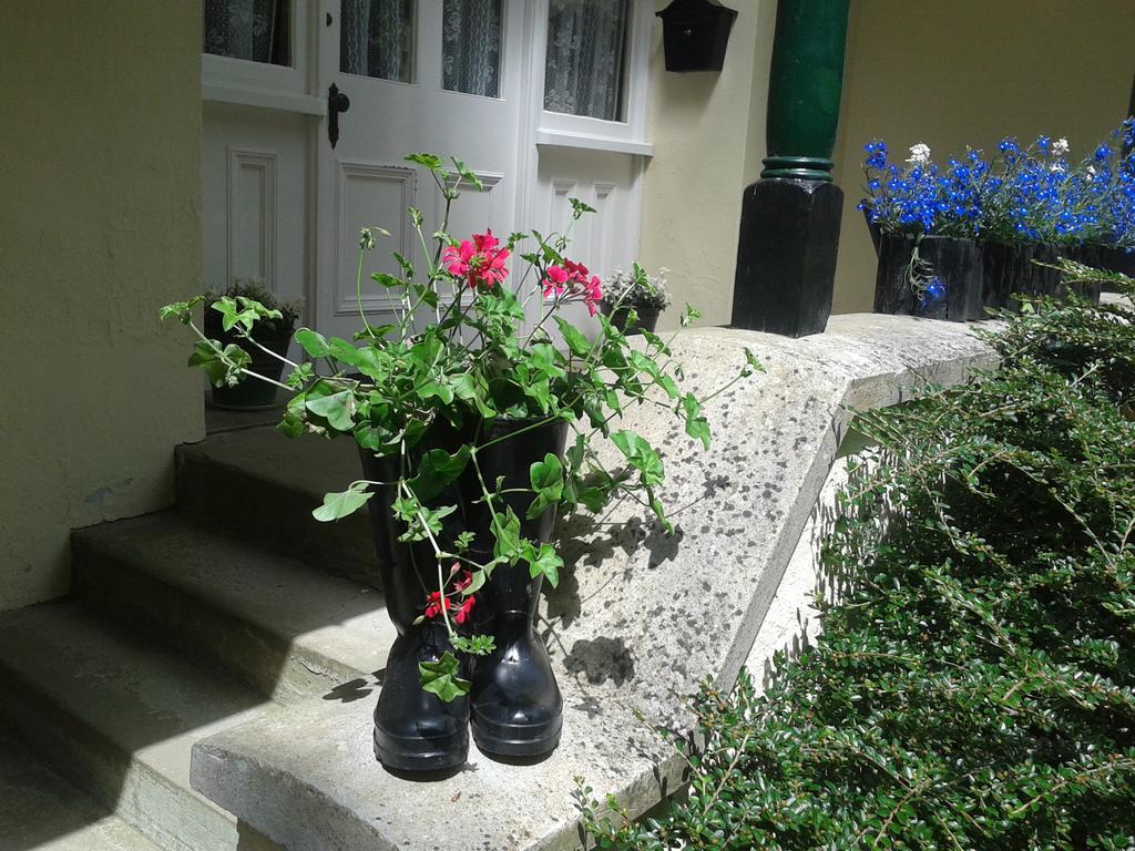 Westleigh House Farm Bed & Breakfast Bideford Room photo